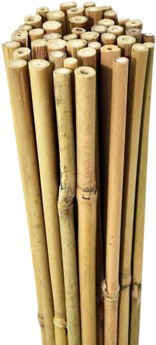 100 Premium 5FT Bamboo Canes – Eco - Friendly Garden Solutions! - plants - express.com