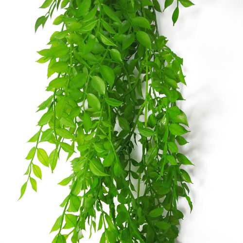 100cm Artificial Hanging String of Pearls Fern - Vibrant Green Decor - plants - express.com
