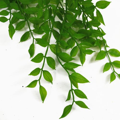 100cm Artificial Hanging String of Pearls Fern - Vibrant Green Decor - plants - express.com
