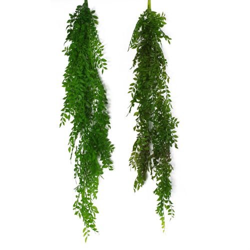 100cm Artificial Hanging String of Pearls Fern - Vibrant Green Decor - plants - express.com