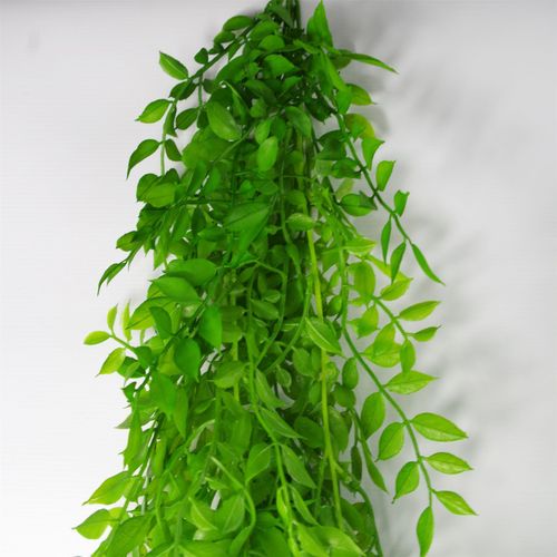 100cm Artificial Hanging String of Pearls Fern - Vibrant Green Decor - plants - express.com