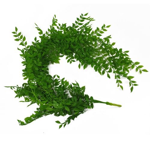 100cm Artificial Hanging String of Pearls Fern - Vibrant Green Decor - plants - express.com