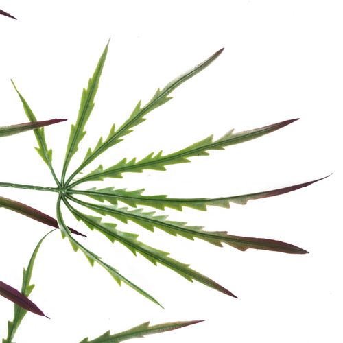100cm Lush Artificial Hanging Spider Plant - Perfect for Any Space! - plants - express.com