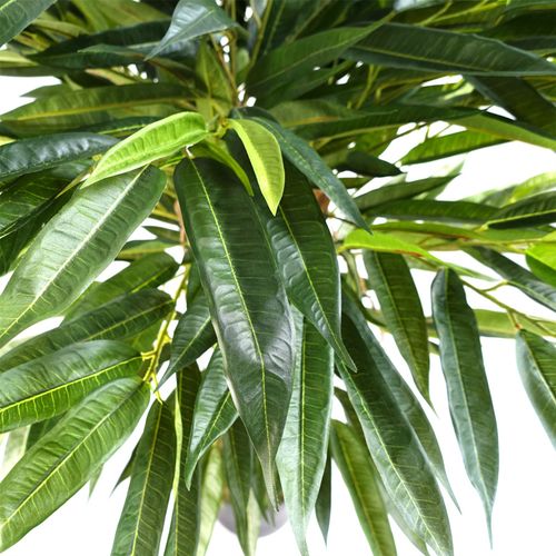 100cm Realistic Ficus Tree with Natural Trunk - Lifelike Silk Leaves & Vines - plants - express.com