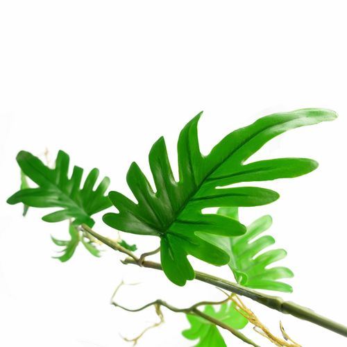 100cm Realistic Hanging Philodendron - Lush Artificial Trailing Plant - plants - express.com