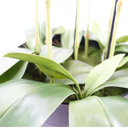 110cm Large Yellow Peach Orchid Plant Artifcial 41 REAL TOUCH flowers - plants - express.com