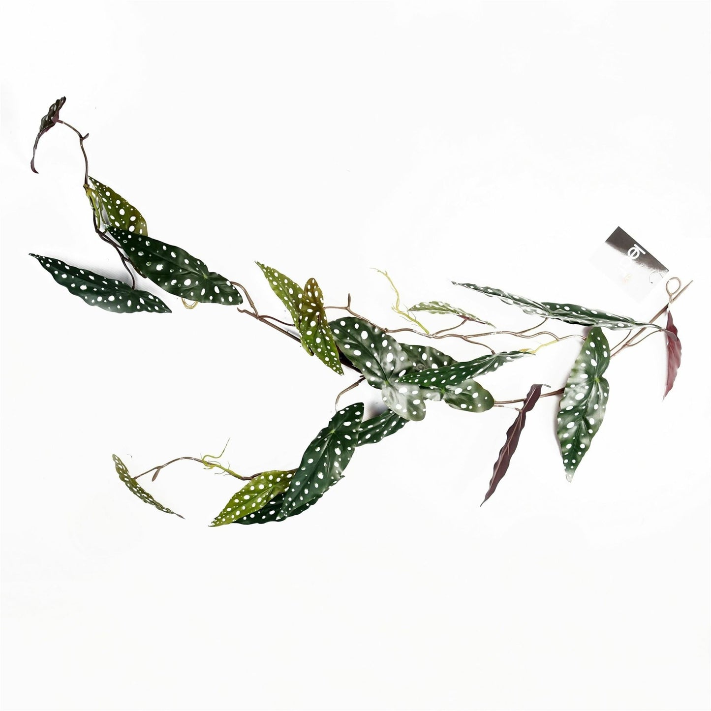 110cm Realistic Begonia Maculata Hanging Plant - Lush, Spotted Elegance! - plants - express.com