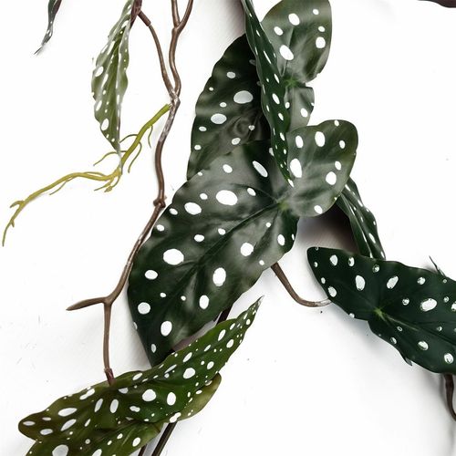 110cm Realistic Begonia Maculata Hanging Plant - Lush, Spotted Elegance! - plants - express.com