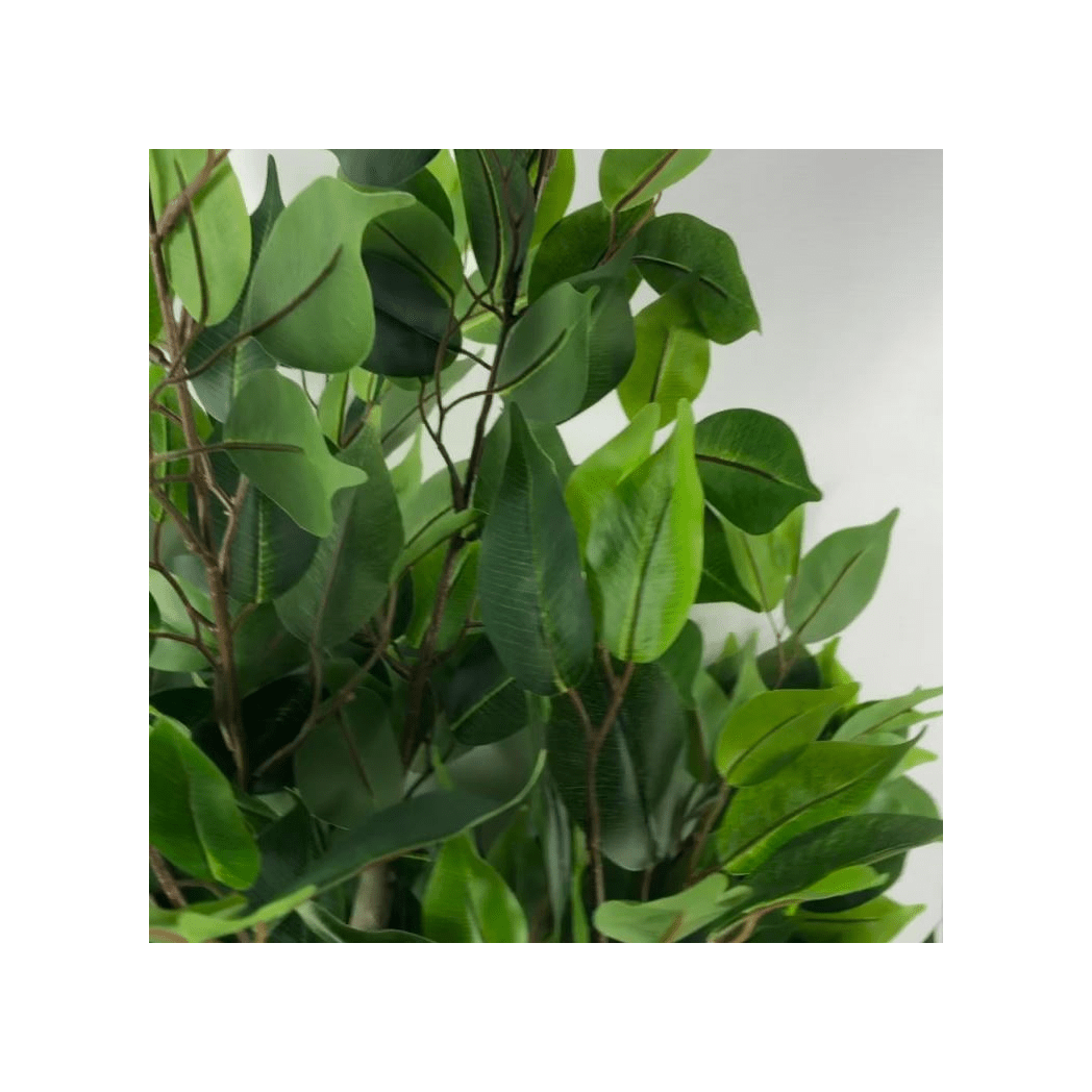 110cm Realistic Ficus Tree - Lifelike Artificial Plant with Lush Leaves - plants - express.com