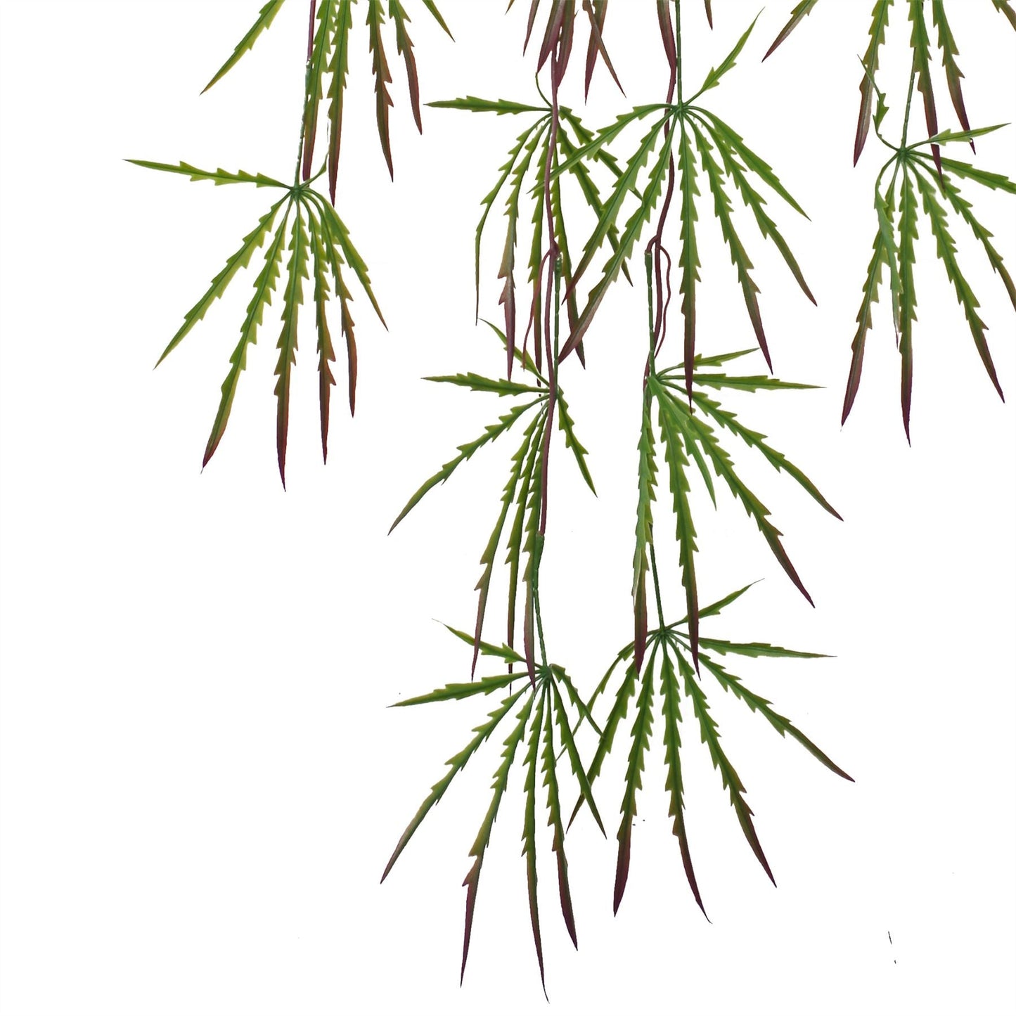12 - Pack 100cm Lush Artificial Hanging Acer Spider Plants - Perfect for Displays! - plants - express.com
