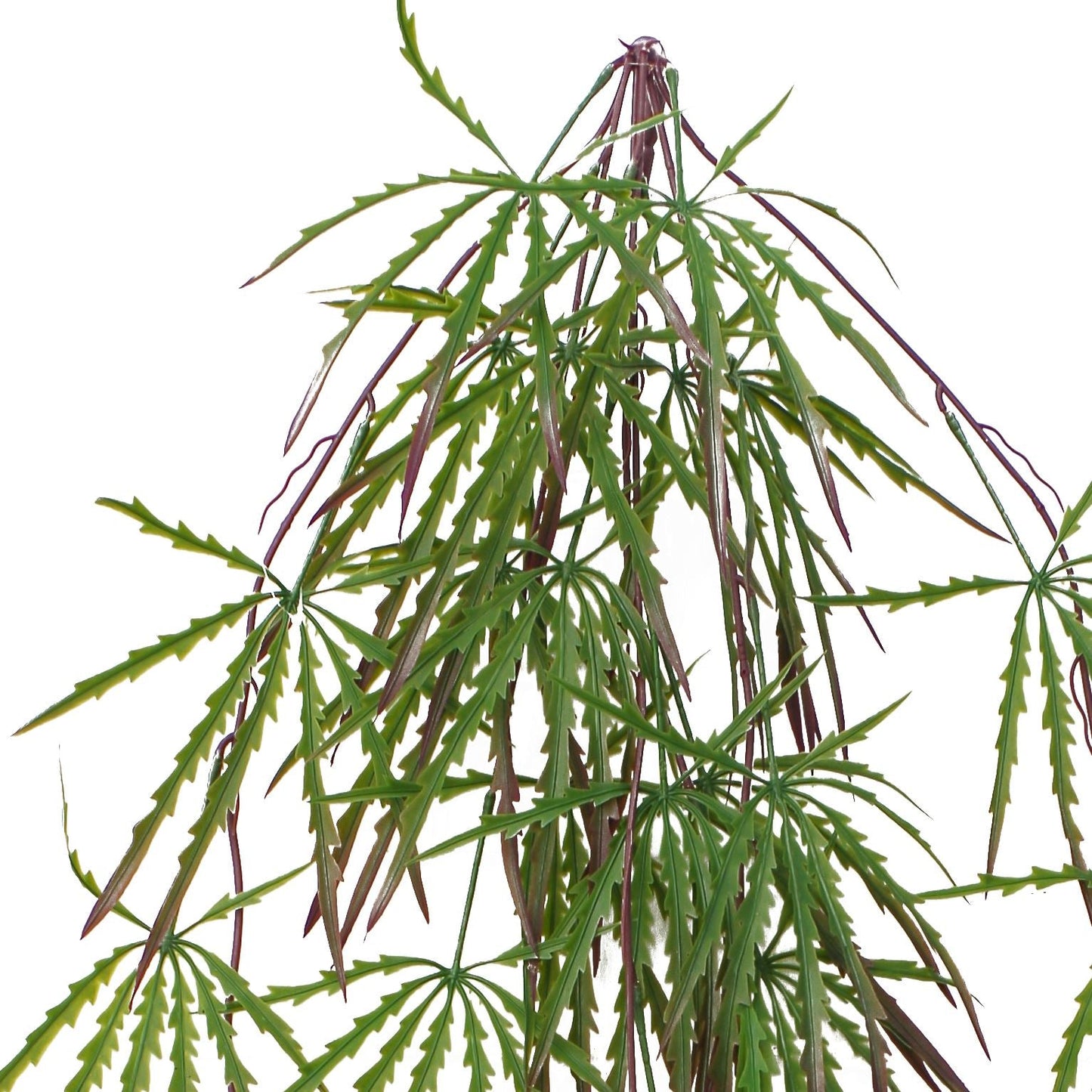 12 - Pack 100cm Lush Artificial Hanging Acer Spider Plants - Perfect for Displays! - plants - express.com