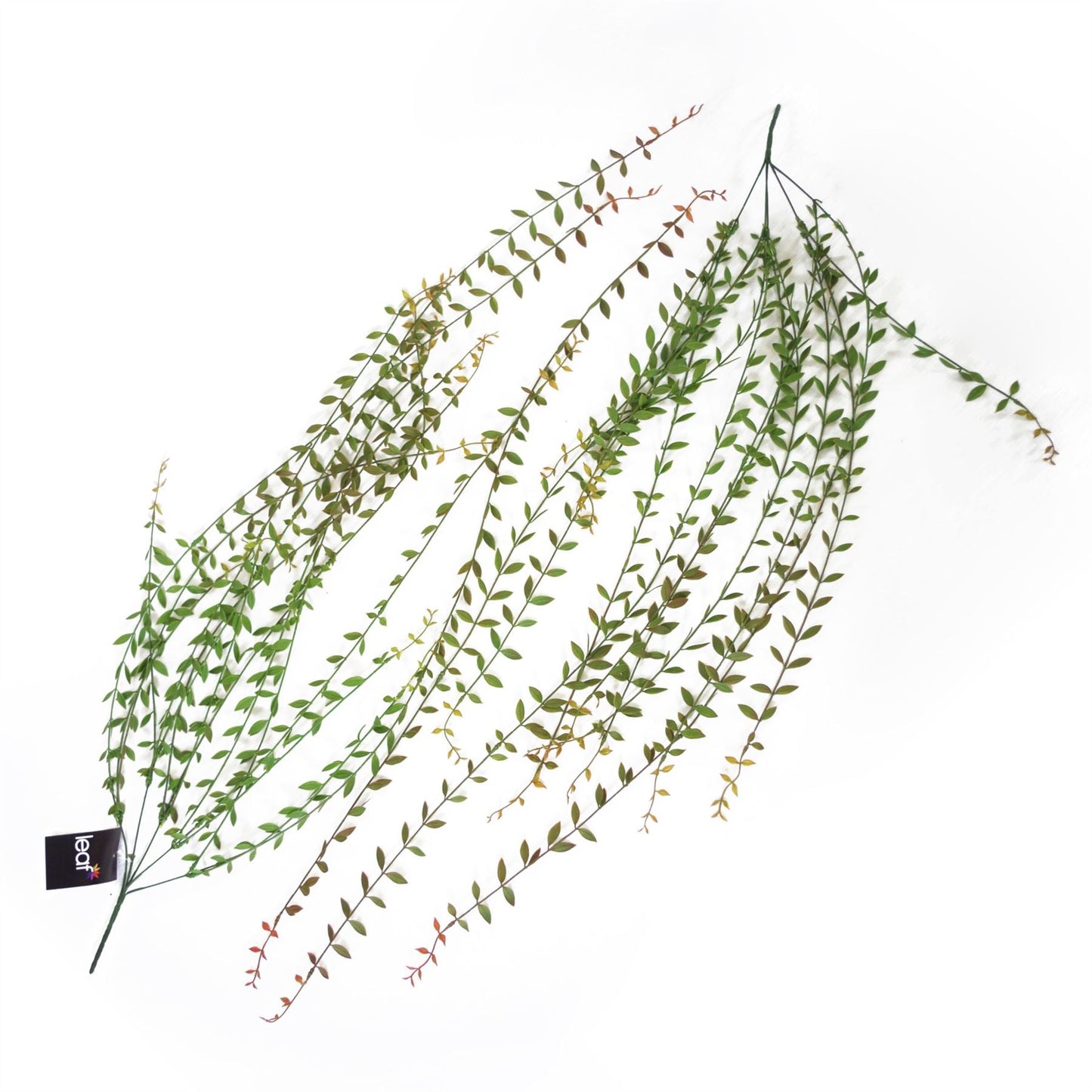 12 - Pack 120cm Realistic Artificial Hanging String of Pearls - Perfect for Displays! - plants - express.com