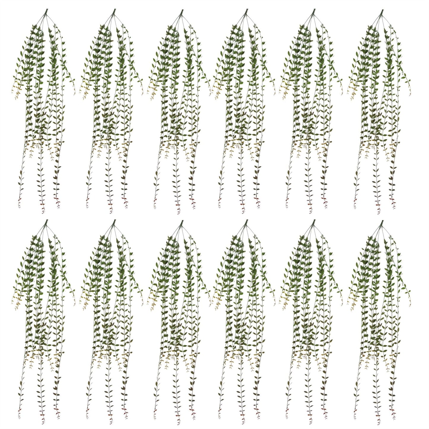 12 - Pack 120cm Realistic Artificial Hanging String of Pearls - Perfect for Displays! - plants - express.com