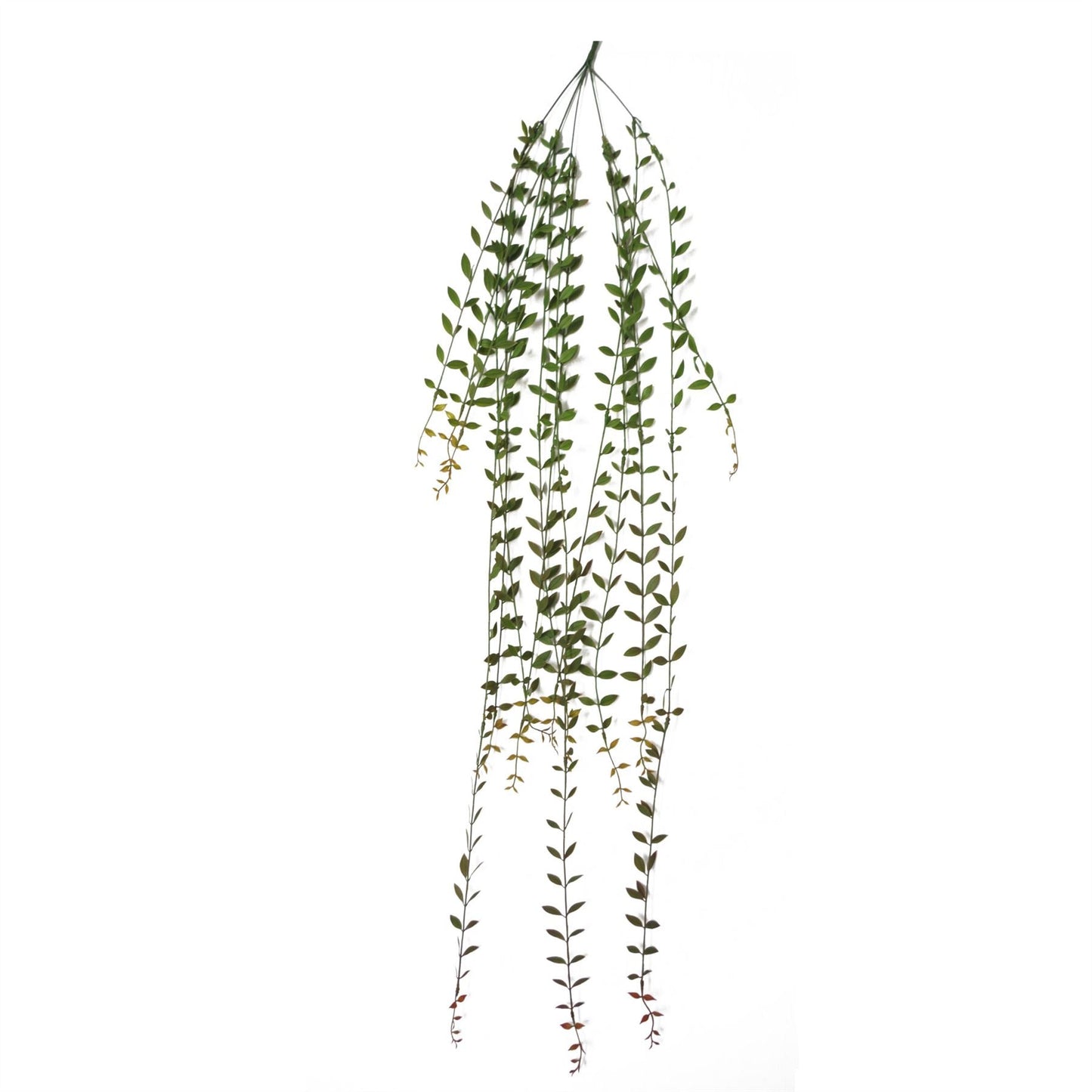 12 - Pack Extra Long Artificial Hanging String of Pearls - 120cm Realistic Decor - plants - express.com
