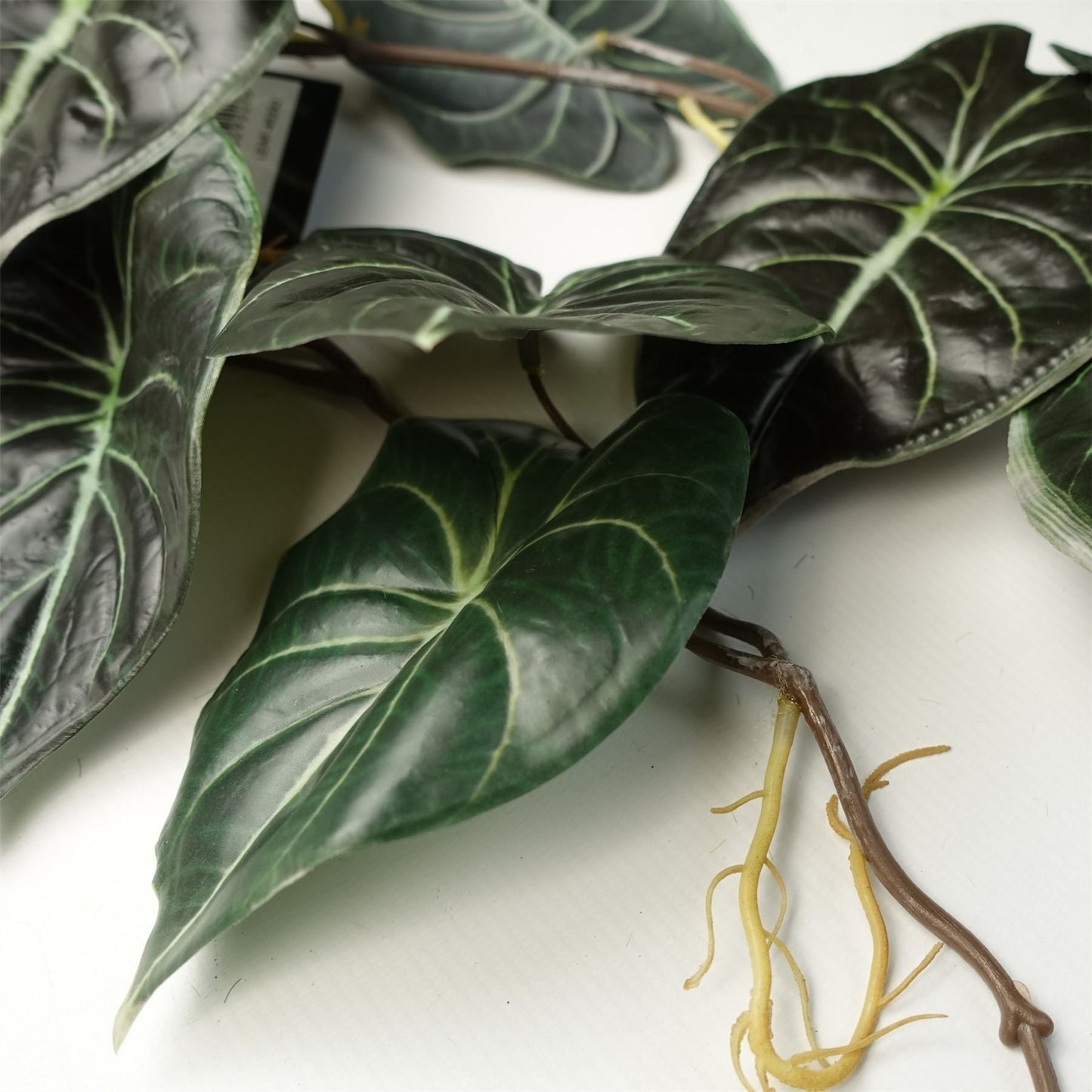 120cm Alocasia Dragon Scale Hanging Plant - Lush, Realistic Greenery! - plants - express.com