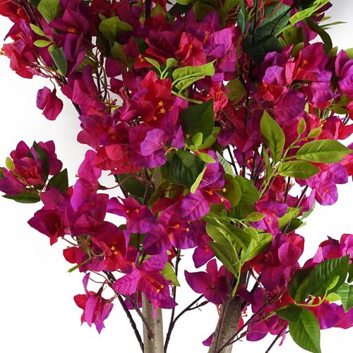 120cm Lush Pink Bougainvillea Tree - Effortless Elegance for Any Space! - plants - express.com