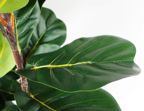 120cm Premium Artificial Fiddle Fig Tree - Lifelike Home Decor Delight - plants - express.com