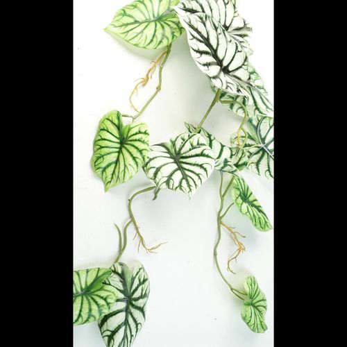 120cm Realistic Alocasia Dragon Scale Hanging Plant - Lush Greenery Home Decor - plants - express.com