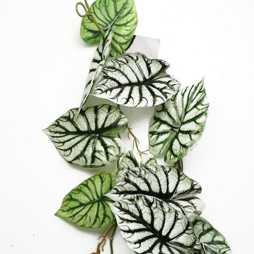 120cm Realistic Alocasia Dragon Scale Hanging Plant - Lush Greenery Home Decor - plants - express.com