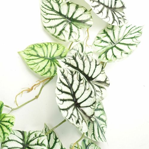 120cm Realistic Alocasia Dragon Scale Hanging Plant - Lush Greenery Home Decor - plants - express.com