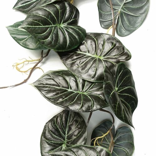 120cm Realistic Alocasia Dragon Scale Trailing Plant – Lush Green Elegance! - plants - express.com