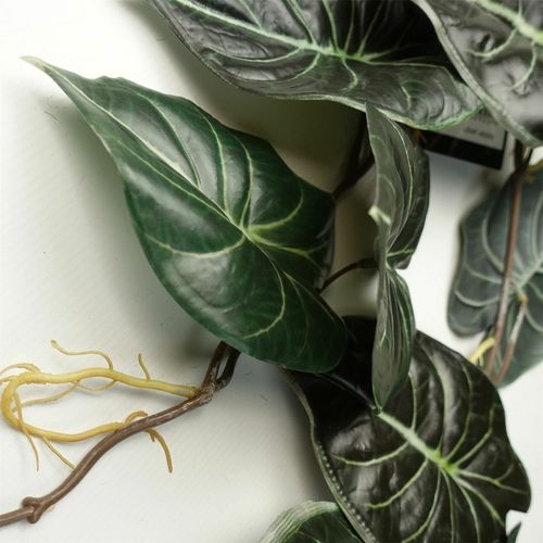 120cm Realistic Alocasia Dragon Scale Trailing Plant – Lush Green Elegance! - plants - express.com