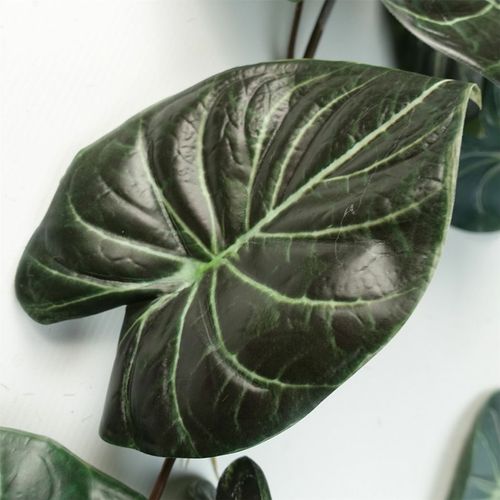 120cm Realistic Alocasia Dragon Scale Trailing Plant – Lush Green Elegance! - plants - express.com
