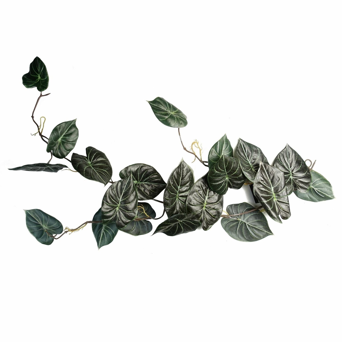 120cm Realistic Alocasia Dragon Scale Trailing Plant – Lush Green Elegance! - plants - express.com