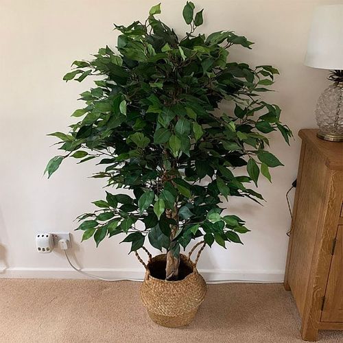 120cm Realistic Ficus Tree - Lifelike Artificial Plant for Home & Office Décor - plants - express.com