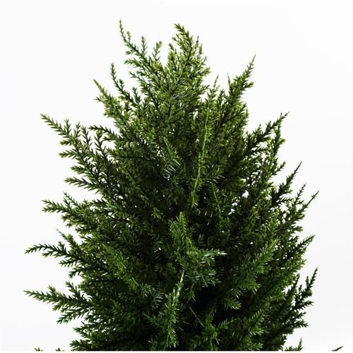 120cm Sprial Cypress Artificial Tree UV Resistant Outdoor - plants - express.com