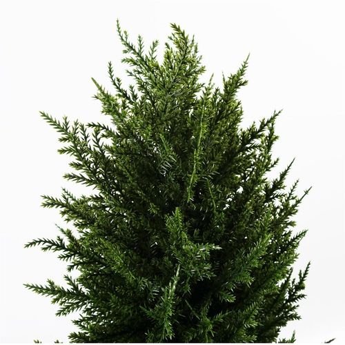 120cm Sprial Cypress Artificial Tree UV Resistant Outdoor - plants - express.com