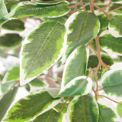 130cm Lifelike White Edge Ficus Tree – Perfectly Shaped Artificial Plant - plants - express.com