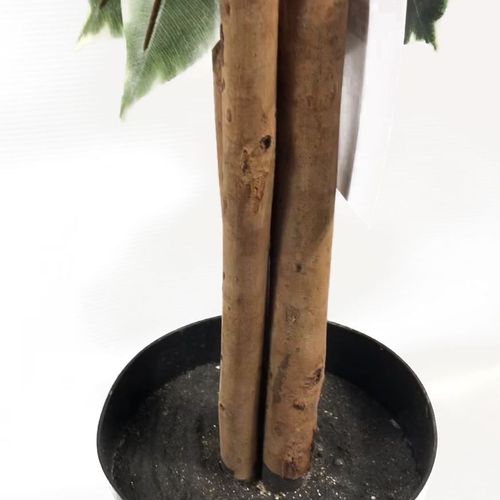 130cm Tall Variegated White/Green Bushy Ficus Tree - plants - express.com