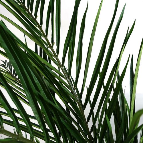 150cm Areca Palm Natural Artificial Tree - plants - express.com