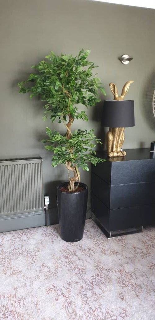 150cm Artificial Japanese Fruticosa - Style Ficus Tree with Twisted Trunk - plants - express.com
