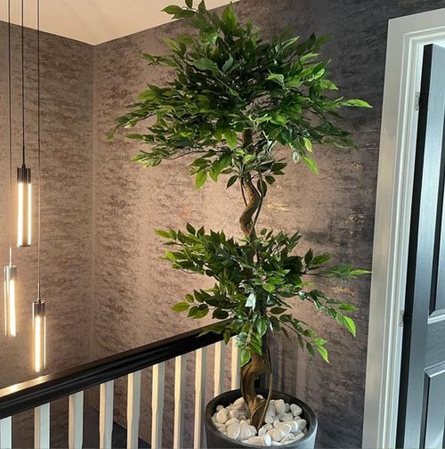 150cm Artificial Japanese Fruticosa - Style Ficus Tree with Twisted Trunk - plants - express.com