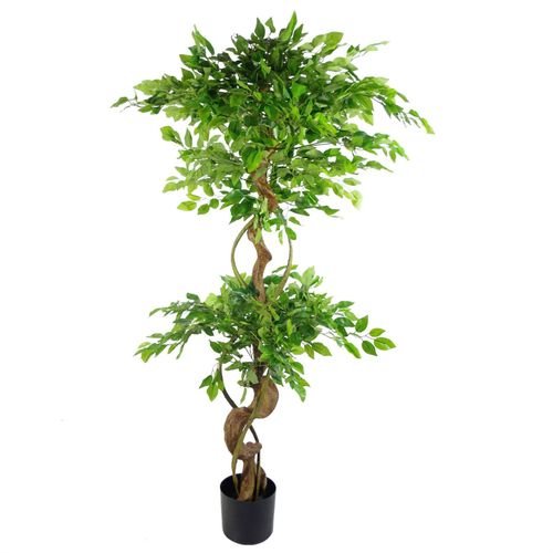 150cm Artificial Japanese Fruticosa - Style Ficus Tree with Twisted Trunk - plants - express.com