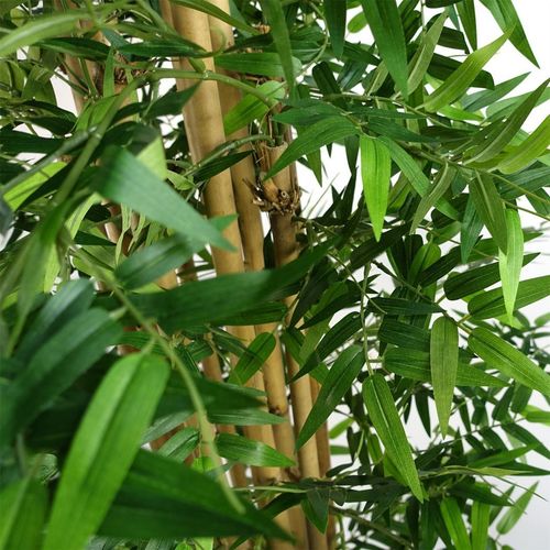 150cm Artificial Oriental Bamboo Plant - plants - express.com