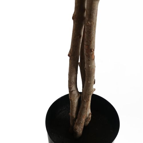 150cm Lifelike Artificial Forsythia Tree - Brighten Your Space Instantly! - plants - express.com