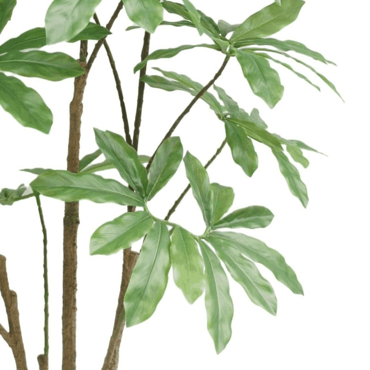 150cm Lifelike Dwarf Umbrella Tree - Stunning Artificial Indoor Décor - plants - express.com