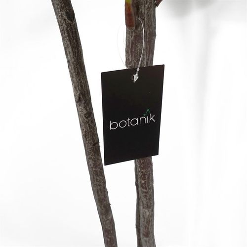 150cm Premium Artificial Fiddle Fig Tree - plants - express.com