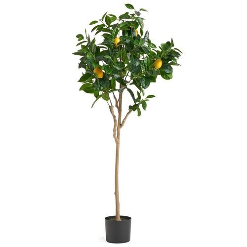 150cm Premium Artificial Lemon Tree - plants - express.com