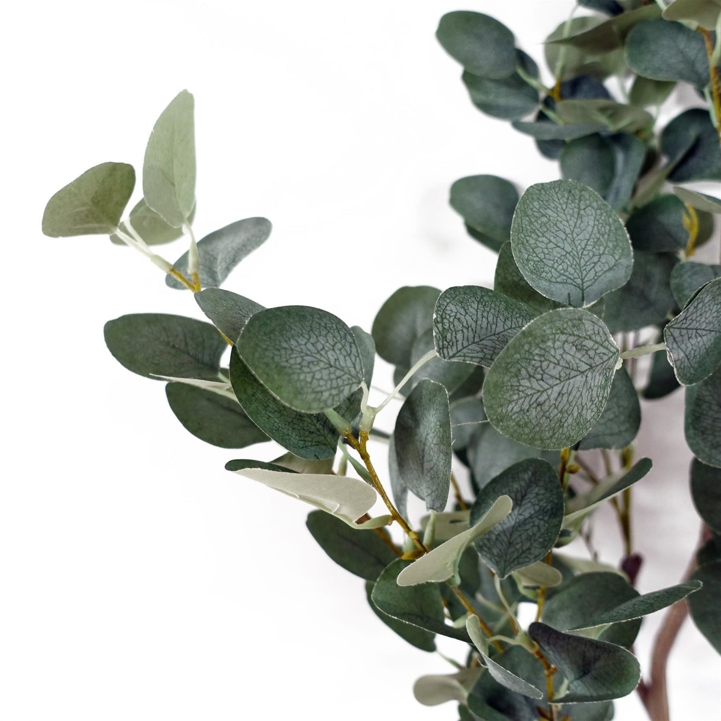 150cm Realistic Eucalyptus Tree – Stunning Home Decor, Ready to Display! - plants - express.com