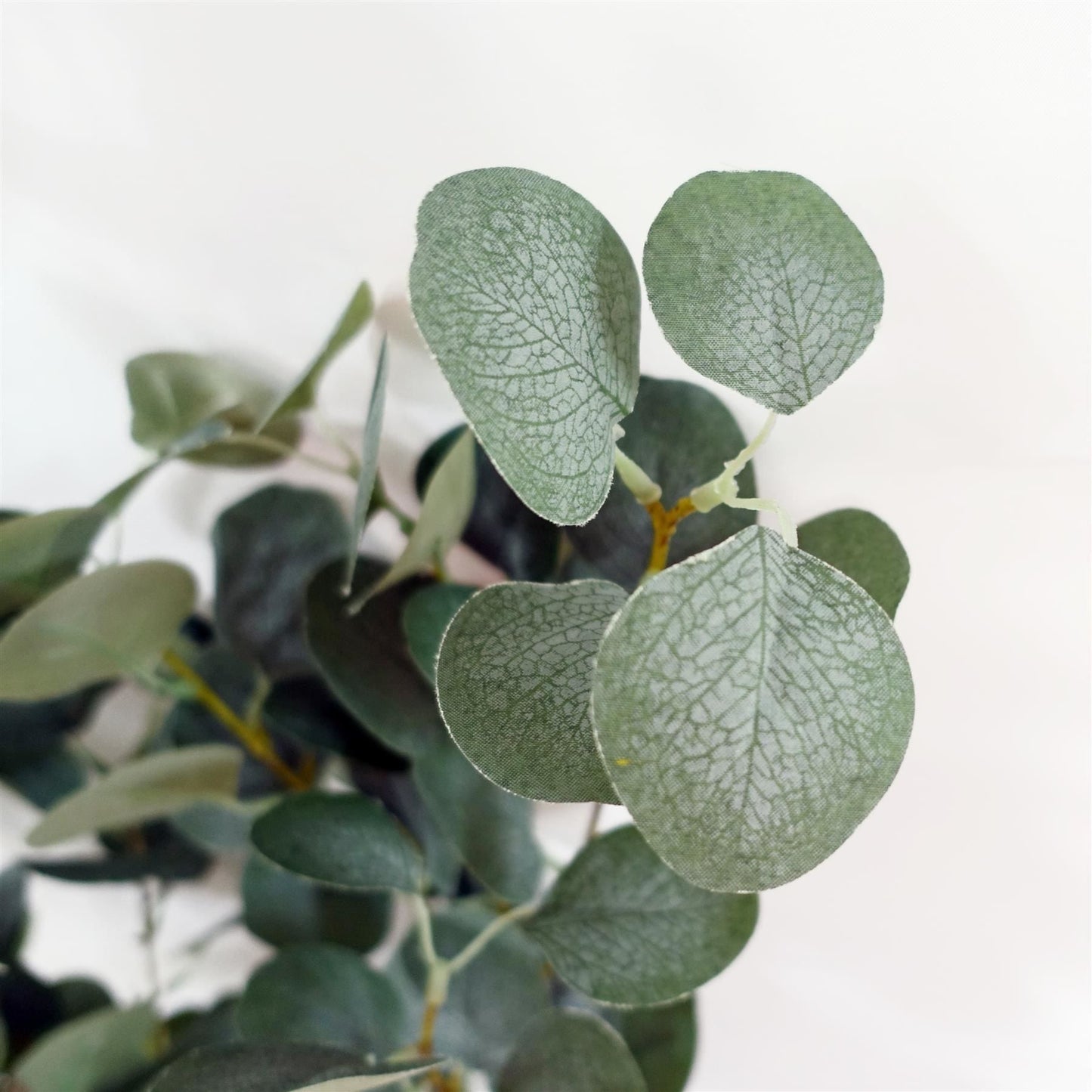 150cm Realistic Eucalyptus Tree – Stunning Home Decor, Ready to Display! - plants - express.com