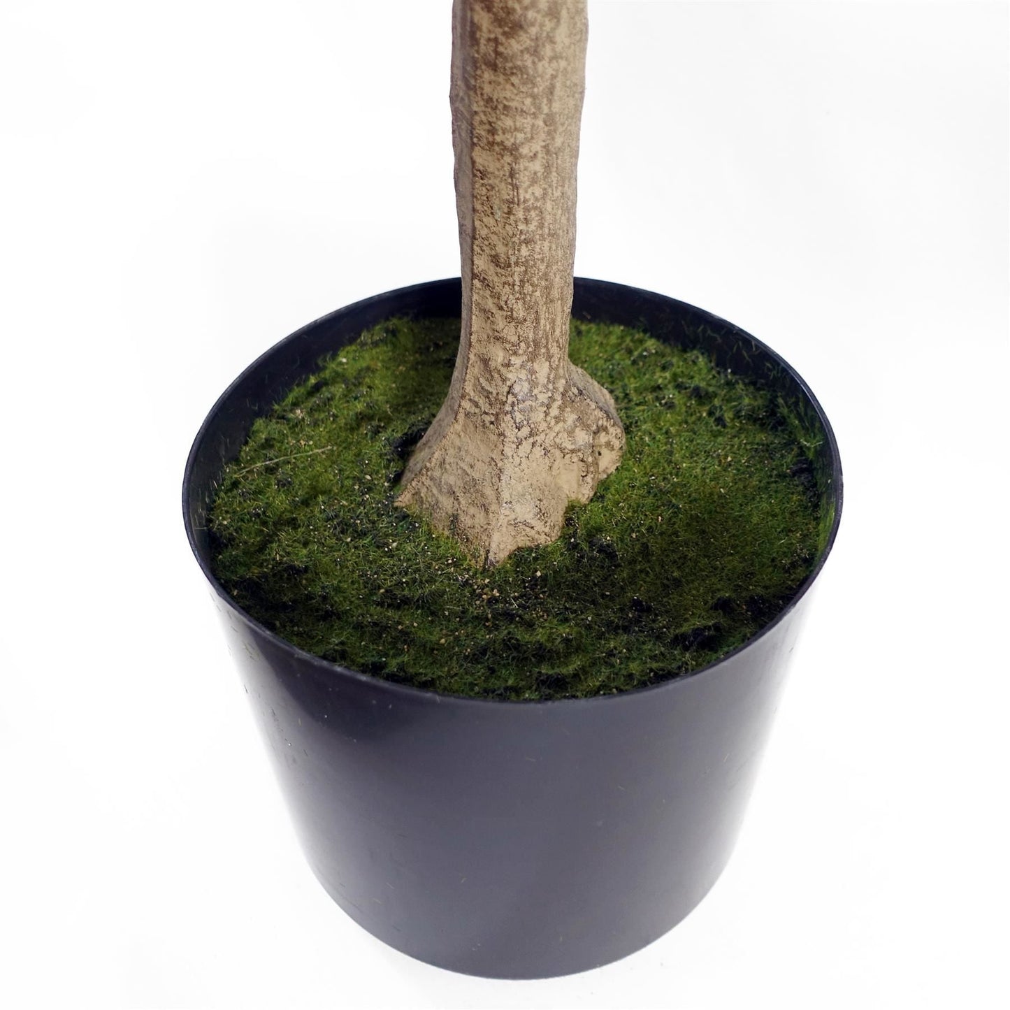 150cm Realistic Eucalyptus Tree – Stunning Home Decor, Ready to Display! - plants - express.com