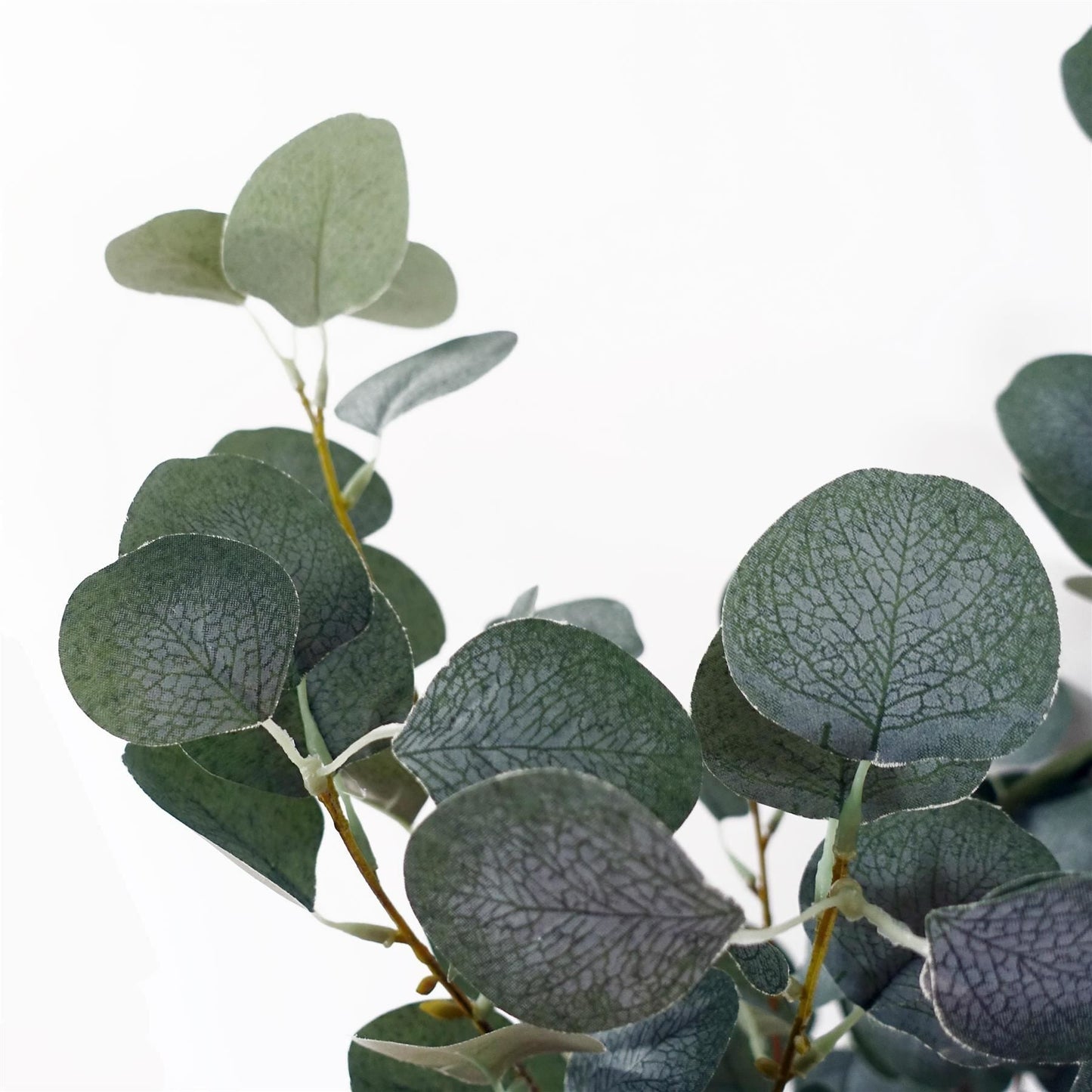 150cm Realistic Eucalyptus Tree – Stunning Home Decor, Ready to Display! - plants - express.com