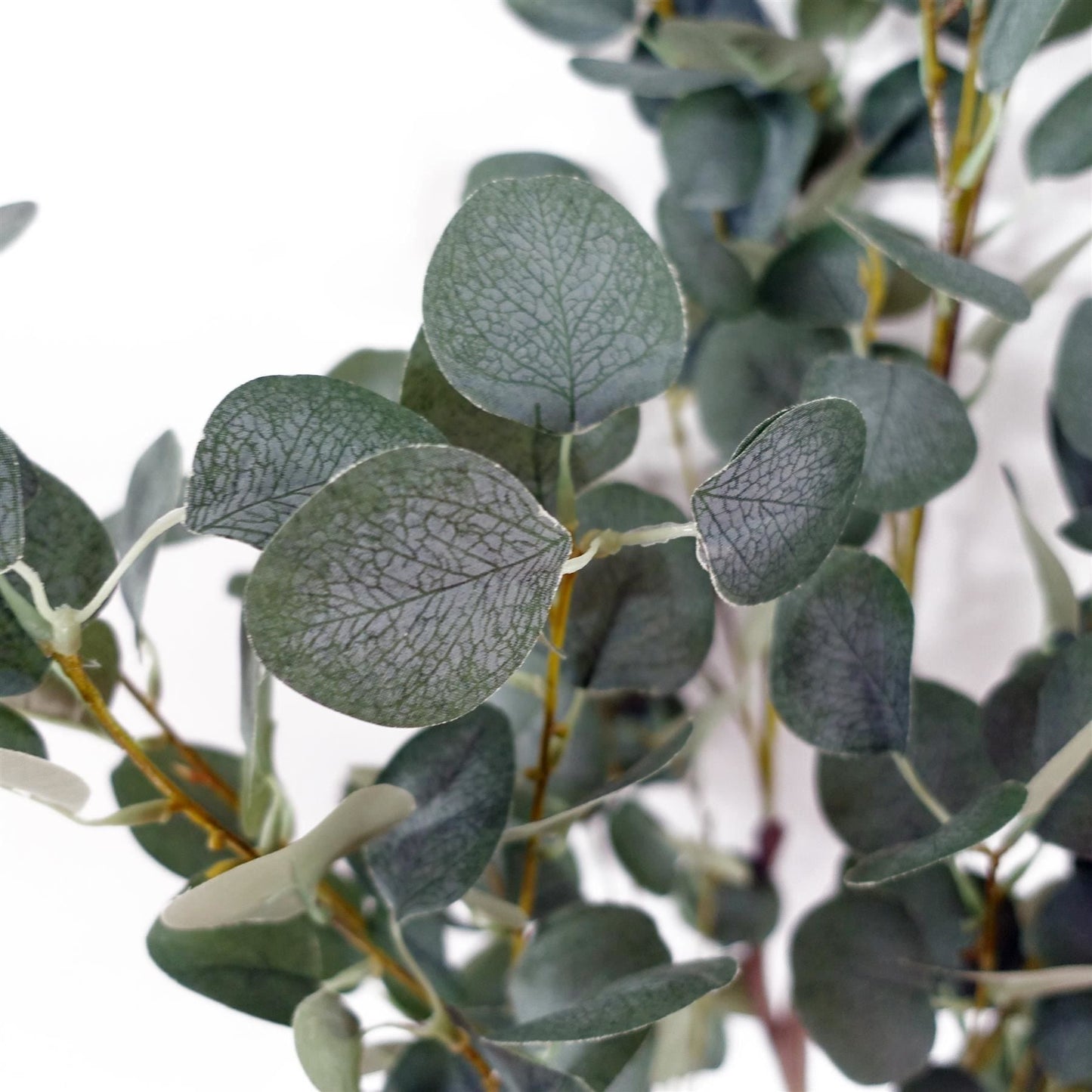 150cm Realistic Eucalyptus Tree – Stunning Home Decor, Ready to Display! - plants - express.com