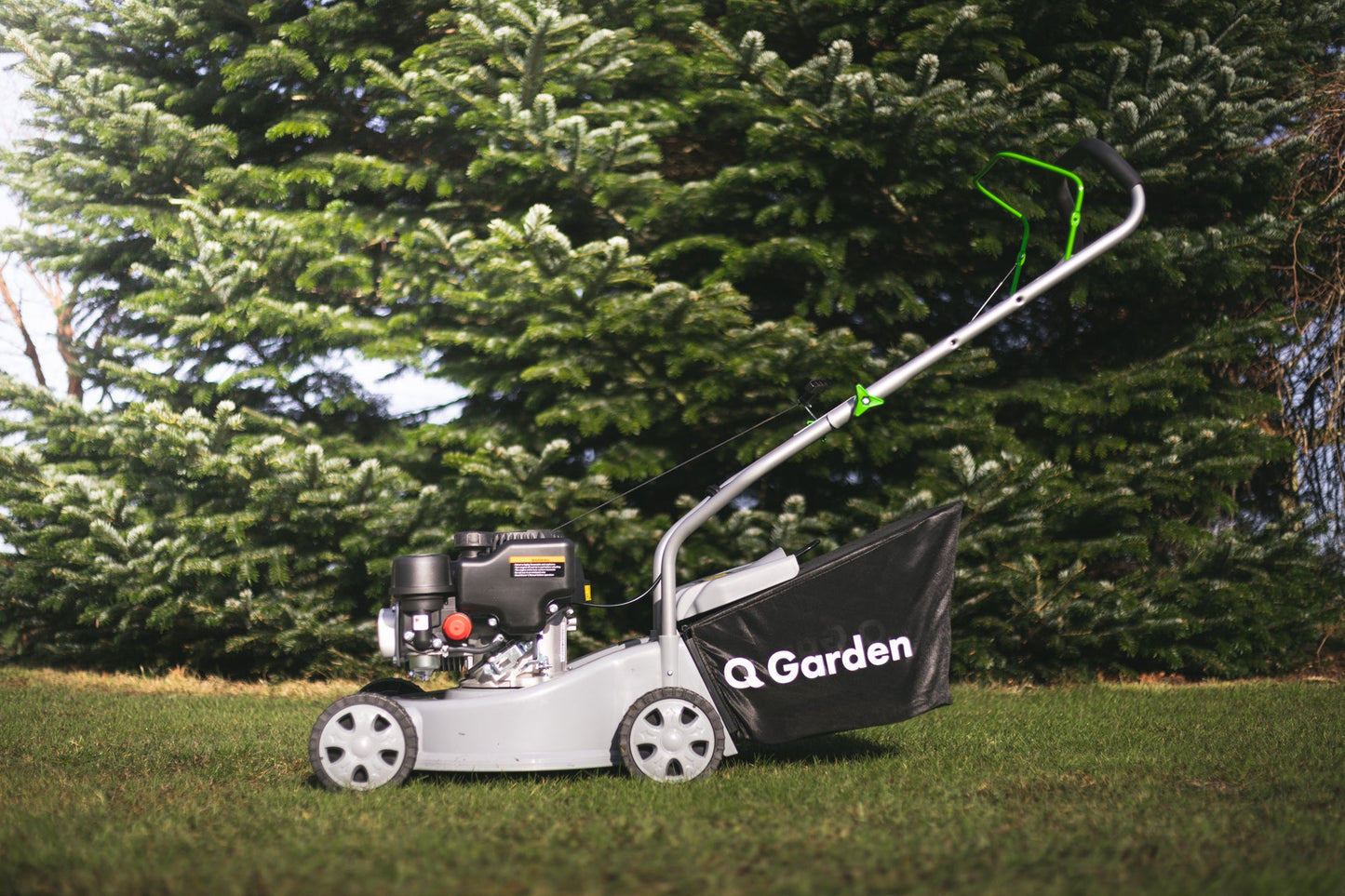 16" (40cm) Poly Deck 130cc - plants - express.com
