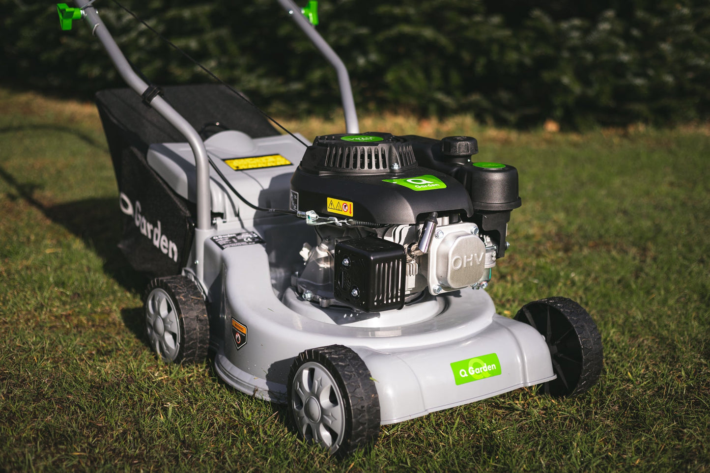 16" (40cm) Poly Deck 130cc - plants - express.com