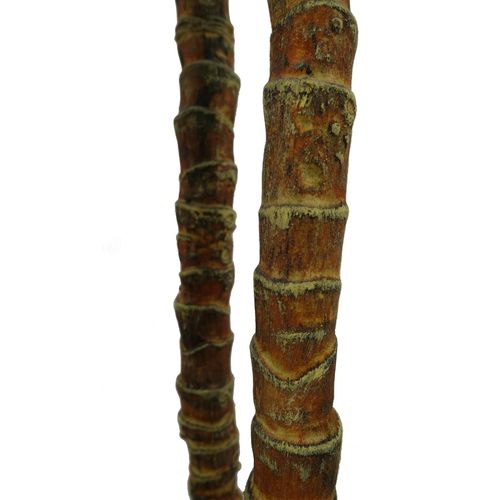 170cm Realistic Artificial XL Triple Yukka Tree - Stunning Indoor Statement Piece - plants - express.com